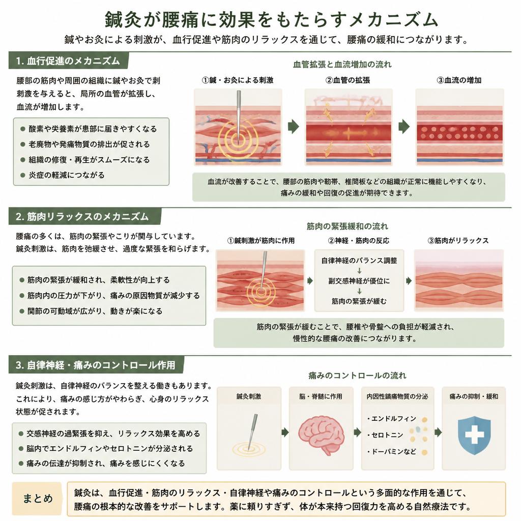 鍼灸の効果と魅力