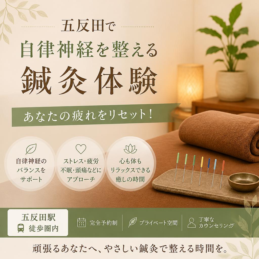 五反田で自律神経を整える鍼灸体験、あなたの疲れをリセット！