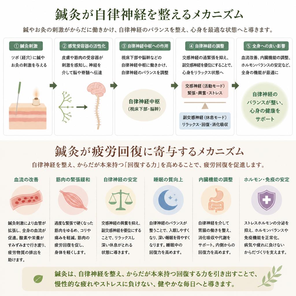 鍼灸の効果とは？