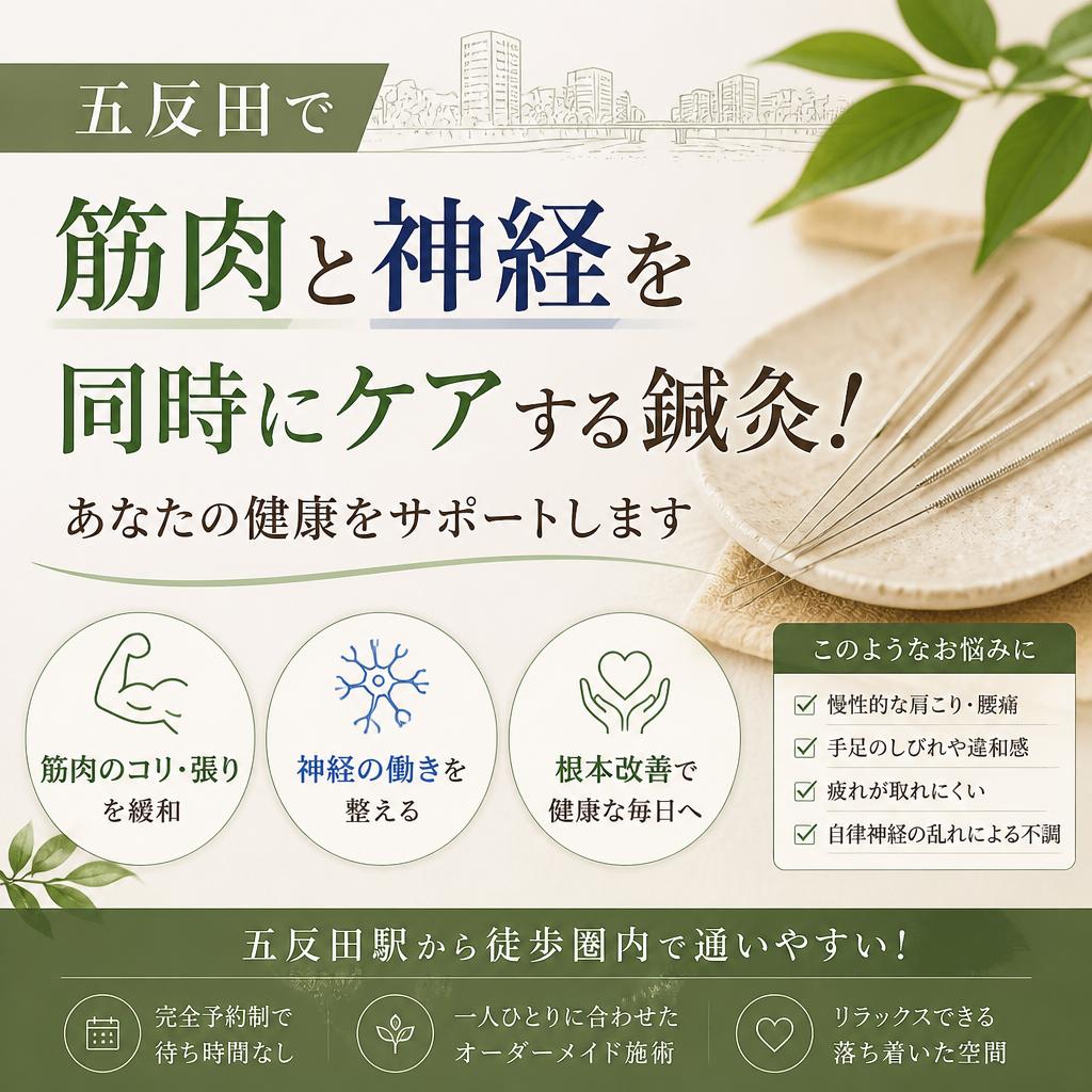 五反田で筋肉と神経を同時にケアする鍼灸！あなたの健康をサポートします